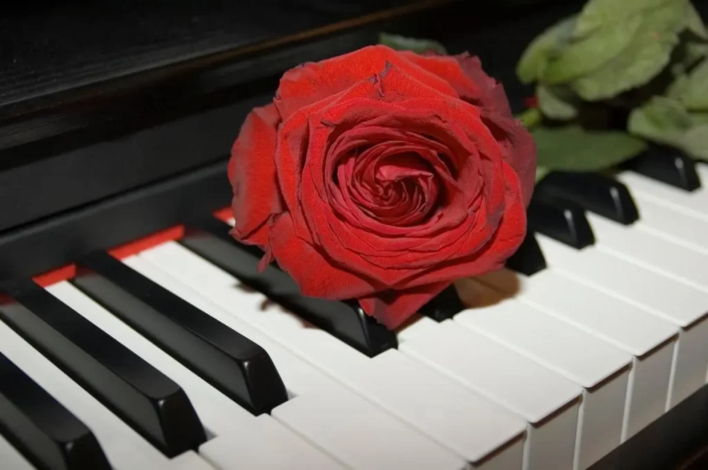 Die besten Liebeslieder-Klaviernoten zum Valentinstag